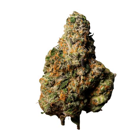 gucci gelato strain|The Most Popular Gelato Strains .